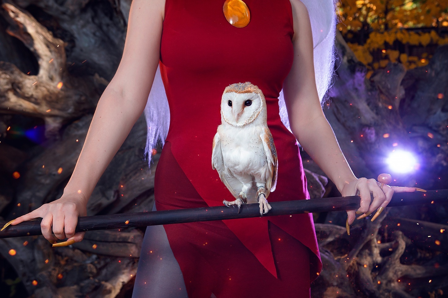 What would an Owl House be without an owl? - Cosplay, Cosplayers, The photo, PHOTOSESSION, Cartoons, The owl house, Eda, Walt disney company, Owl, Birds, Longpost