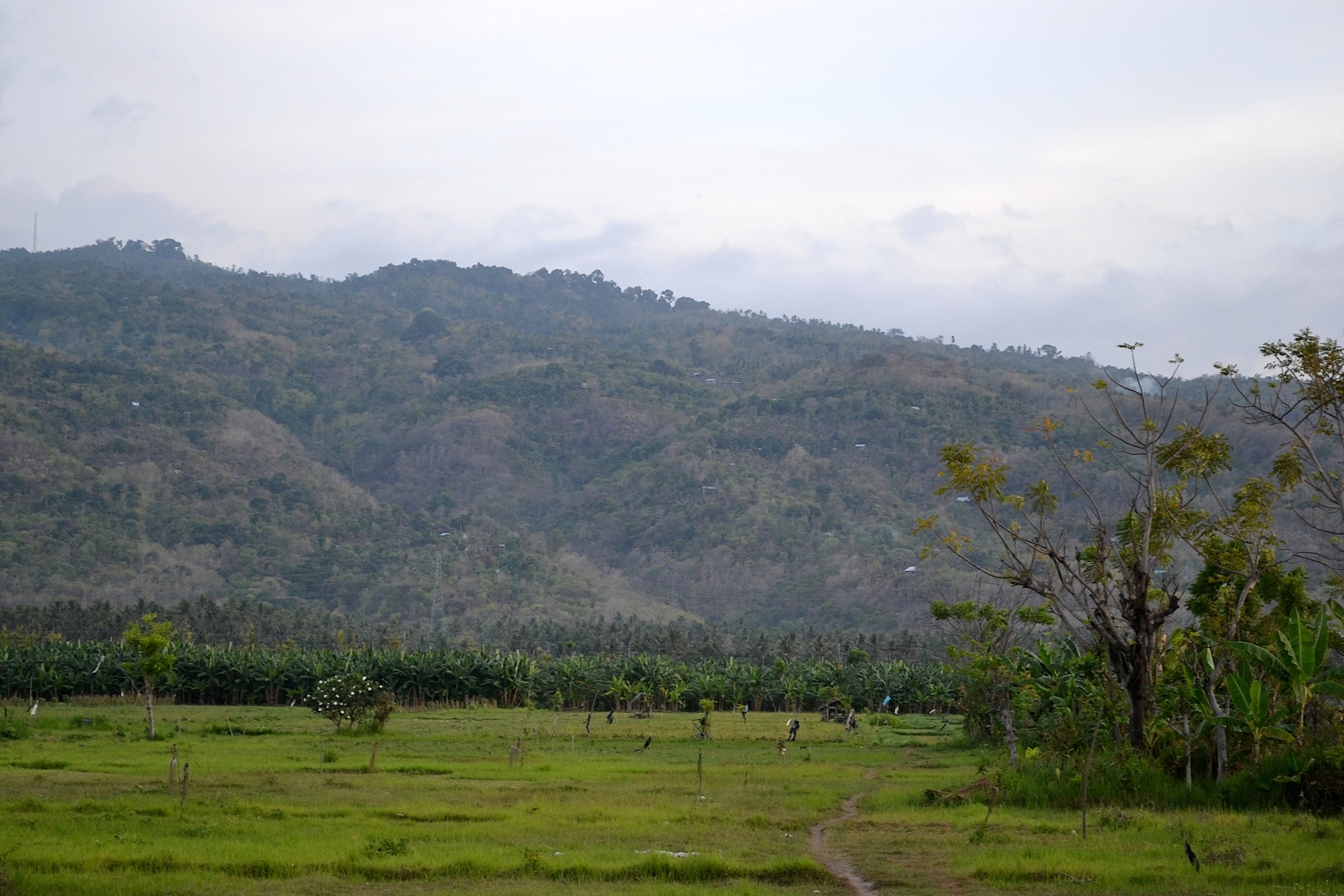 Lovina is a northern resort area of ??the island of Bali. Indonesia - My, Travels, Asia, Island, Indonesia, Bali, Sea, Landscape, Tropics, The photo, Relaxation, Longpost