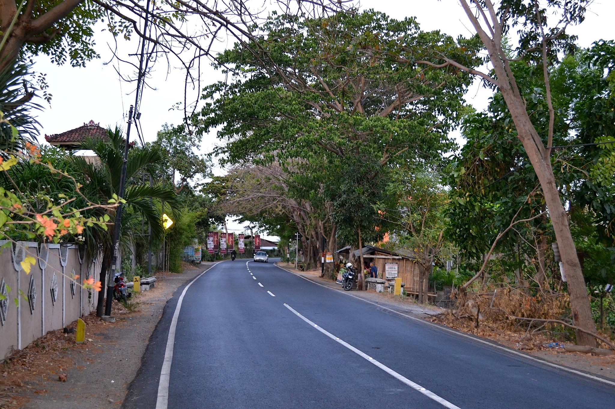 Lovina is a northern resort area of ??the island of Bali. Indonesia - My, Travels, Asia, Island, Indonesia, Bali, Sea, Landscape, Tropics, The photo, Relaxation, Longpost