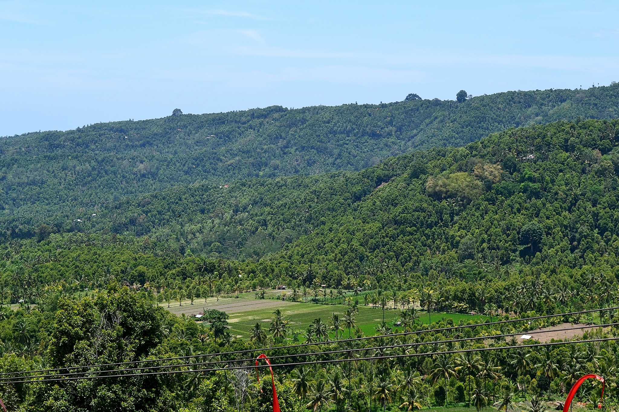 Lovina is a northern resort area of ??the island of Bali. Indonesia - My, Travels, Asia, Island, Indonesia, Bali, Sea, Landscape, Tropics, The photo, Relaxation, Longpost