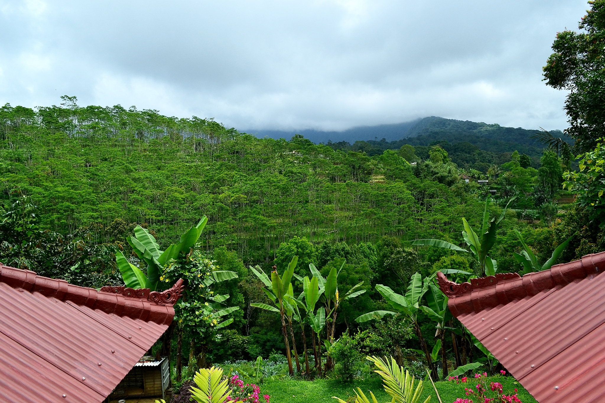 Lovina is a northern resort area of ??the island of Bali. Indonesia - My, Travels, Asia, Island, Indonesia, Bali, Sea, Landscape, Tropics, The photo, Relaxation, Longpost