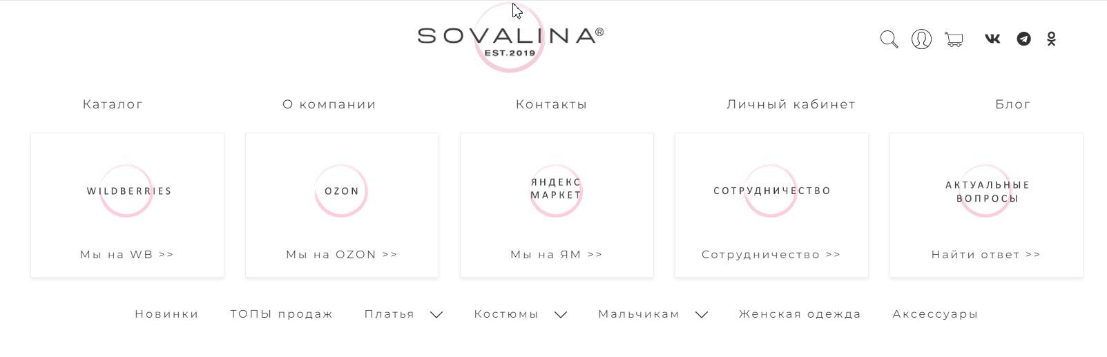 Marketing for wholesale business: promotion strategies using the example of children's clothing brand Sovalina - Startup, Entrepreneurship, Business, Small business, Trade, Marketing, Wholesale, Sale, Clients, Longpost