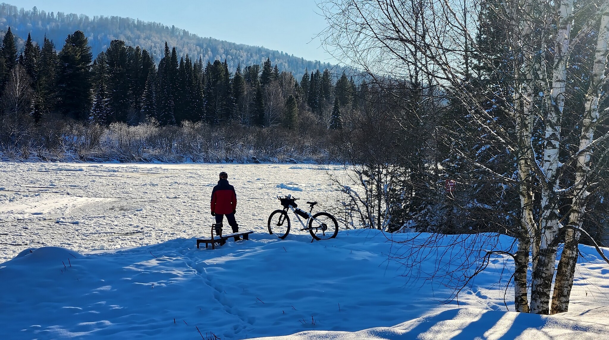 Where are our winter skiers? - My, Mobile photography, A bike, Kemerovo region - Kuzbass, Tom, Pokatushki, Fatbike, Mrassu, Longpost