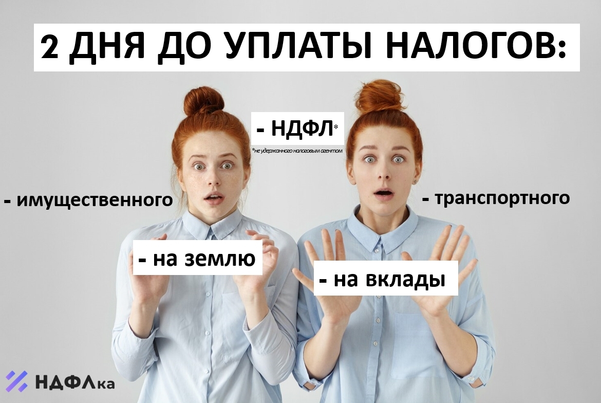 November 29 - Black Friday! Hurry up to make a sale of unnecessary things to collect for paying taxes on December 2! - Tax, Property, Land, Transport tax, Deposit tax, Personal income tax, Black Friday