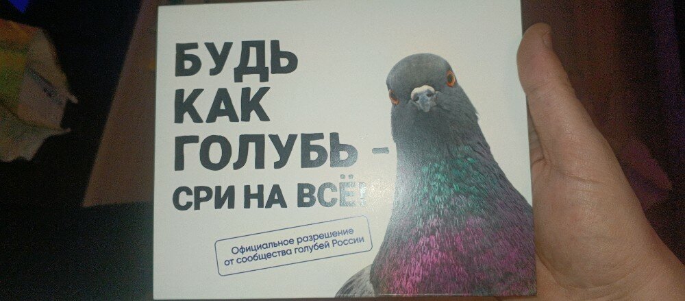 Interesting chocolates from Yandex.Market - Yandex Market, Chocolate, Souvenirs, Presents, Advice, Jason Statham, Pigeon, Black humor, Strange humor