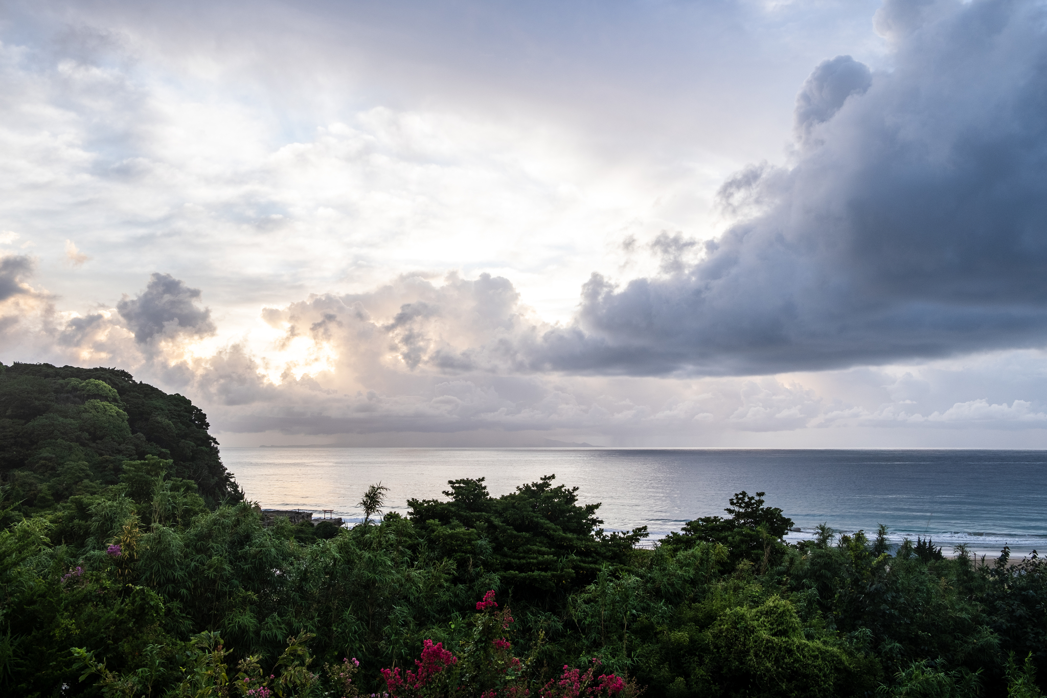 Japan, Izu - My, The photo, Japan, Shore, Nature, Longpost