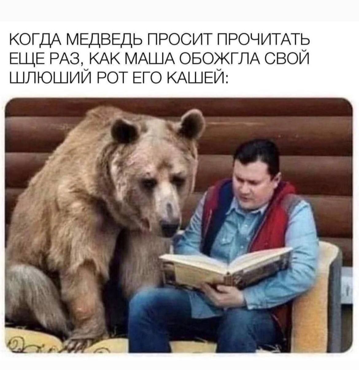 Heh - Humor, Picture with text, Memes, The Bears, Repeat, Medved Stepan, Hardened