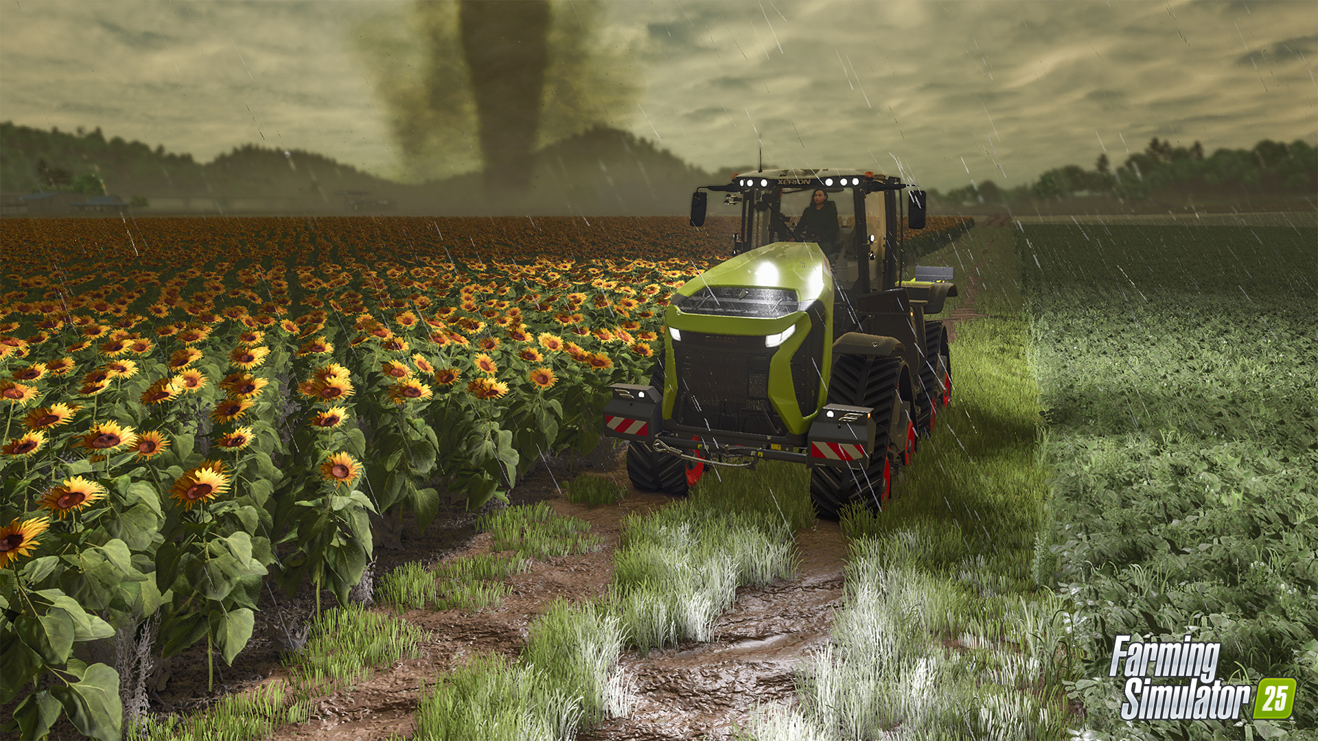 How to buy Farming Simulator 25 in Russia on PC, Xbox and PS - Video game, Gamers, Computer games, Games, Purchase, Hyde, Instructions, Simulator, Farming Simulator, Steam, Xbox, Playstation, Company Blogs, Longpost