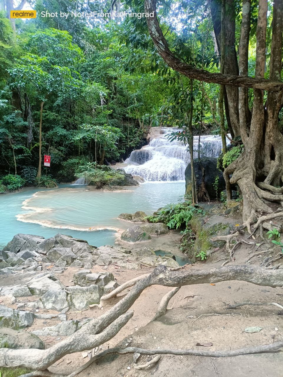 Jungle, waterfall and carp - My, Travels, Vacation, Thailand, Jungle, Waterfall, Carp, Walk, The photo, Vertical video, Video, Longpost