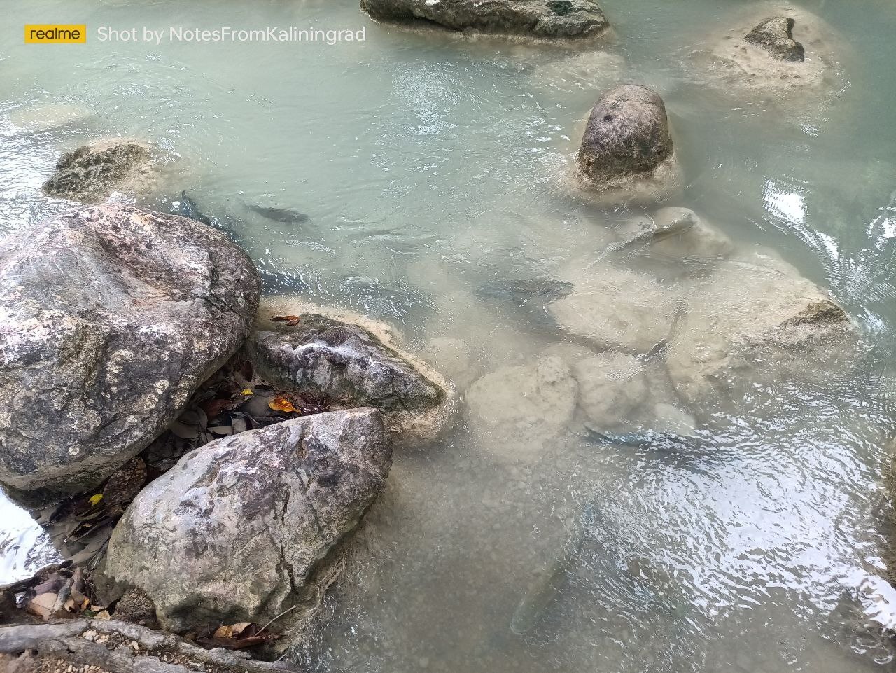 Jungle, waterfall and carp - My, Travels, Vacation, Thailand, Jungle, Waterfall, Carp, Walk, The photo, Vertical video, Video, Longpost