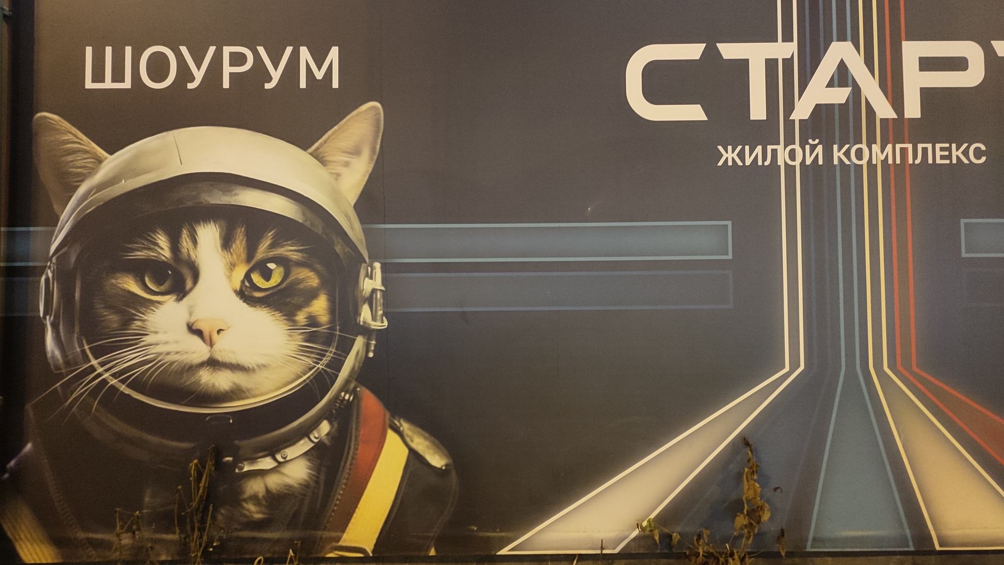 Space and cats - My, Art, Street art, Graffiti, Banner, Yekaterinburg, Mobile photography, Town, Longpost