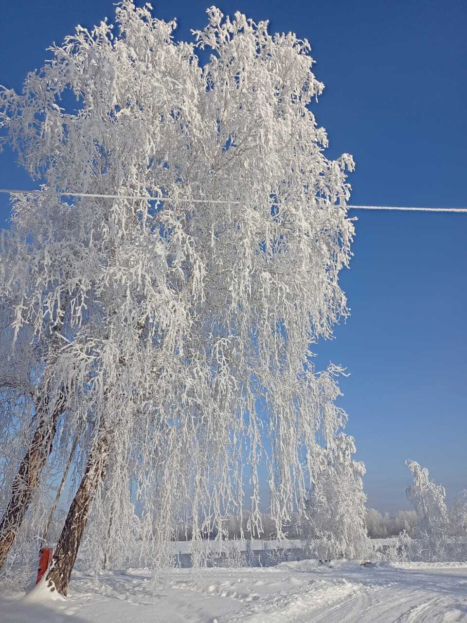 Ответ на пост «Простая сельская красота, Архангельская область» - Село, Фотография, Снег, Красота, Зима, Алтайский край, Длиннопост, Ответ на пост