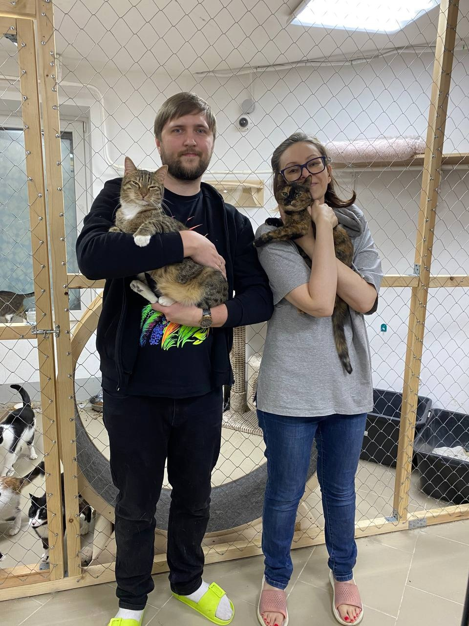 Let's Help Kisonka! Cat Shelter - My, Volunteering, Homeless animals, Saint Petersburg, Good league, Стрим, HOLY, cat, Shelter, Overexposure, Kindness, Lost, Video, Vertical video, Longpost