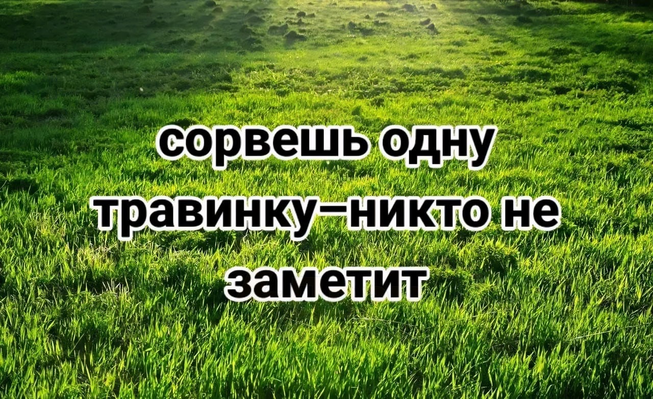 Задумайся! - Песок, Трава, Океан, Длиннопост, Мат, Картинка с текстом, Черный юмор