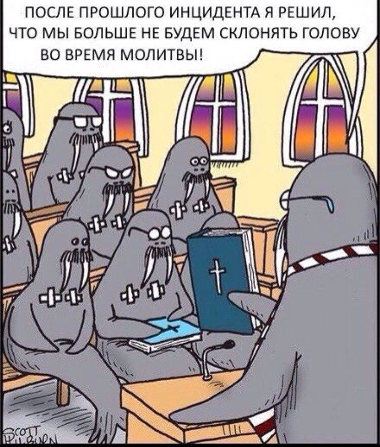 Incident during prayer - Walruses, Prayer, Picture with text, Repeat