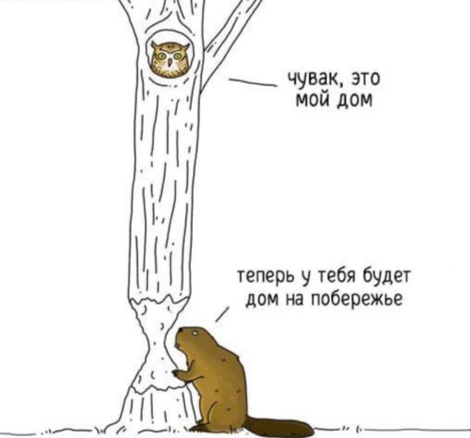 Incident in Yauza Park - Moscow, Humor, Yauza, Jauzapark, Beavers, Picture with text, House, Coast, Owl, Owl, The park