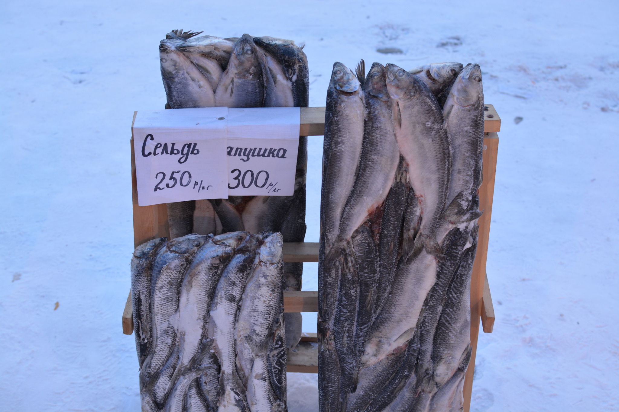 At the coldest market in Russia - My, A fish, Market, Cold, Winter, Winter fishing, Yakutia, Longpost