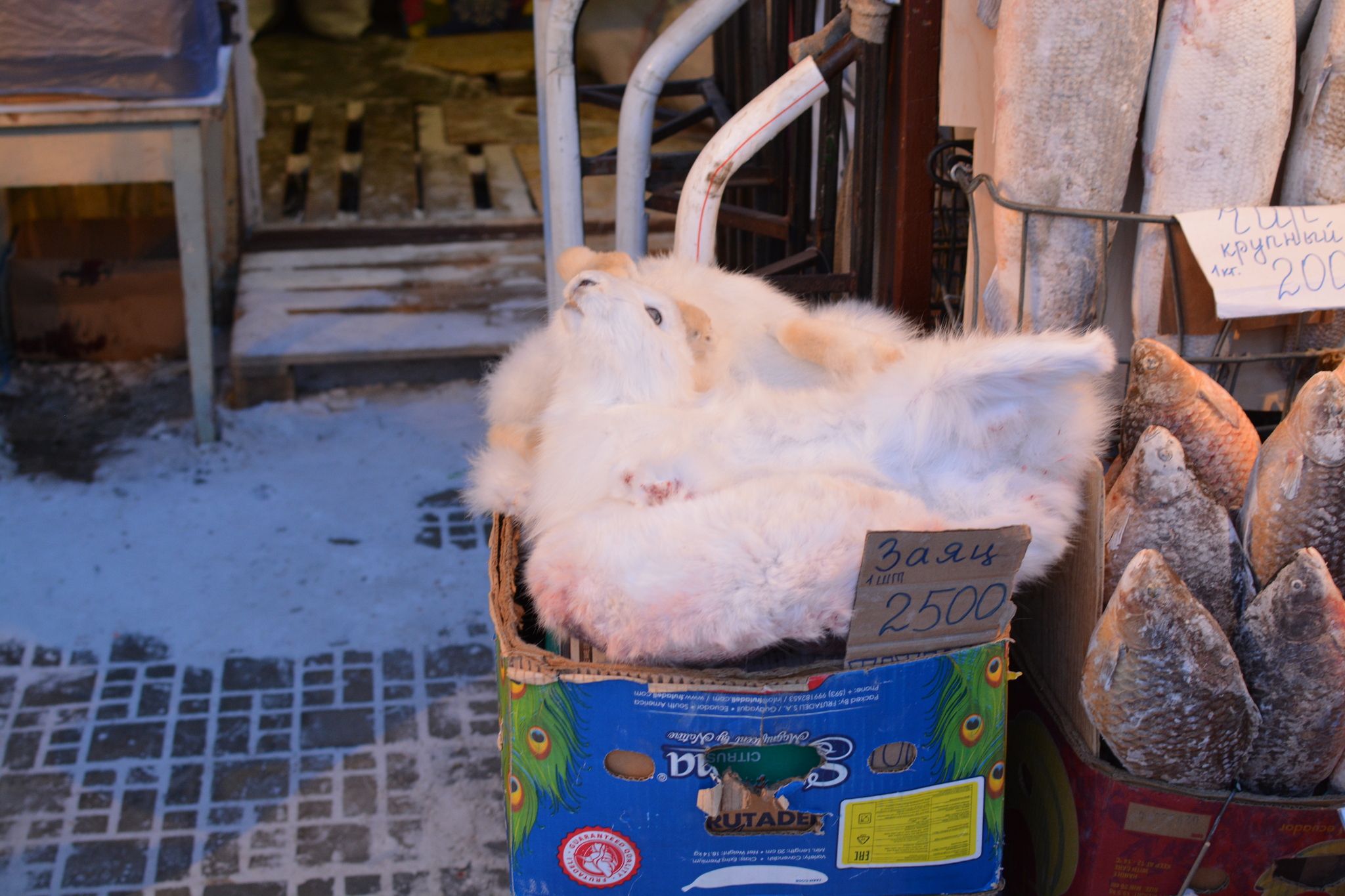 At the coldest market in Russia - My, A fish, Market, Cold, Winter, Winter fishing, Yakutia, Longpost