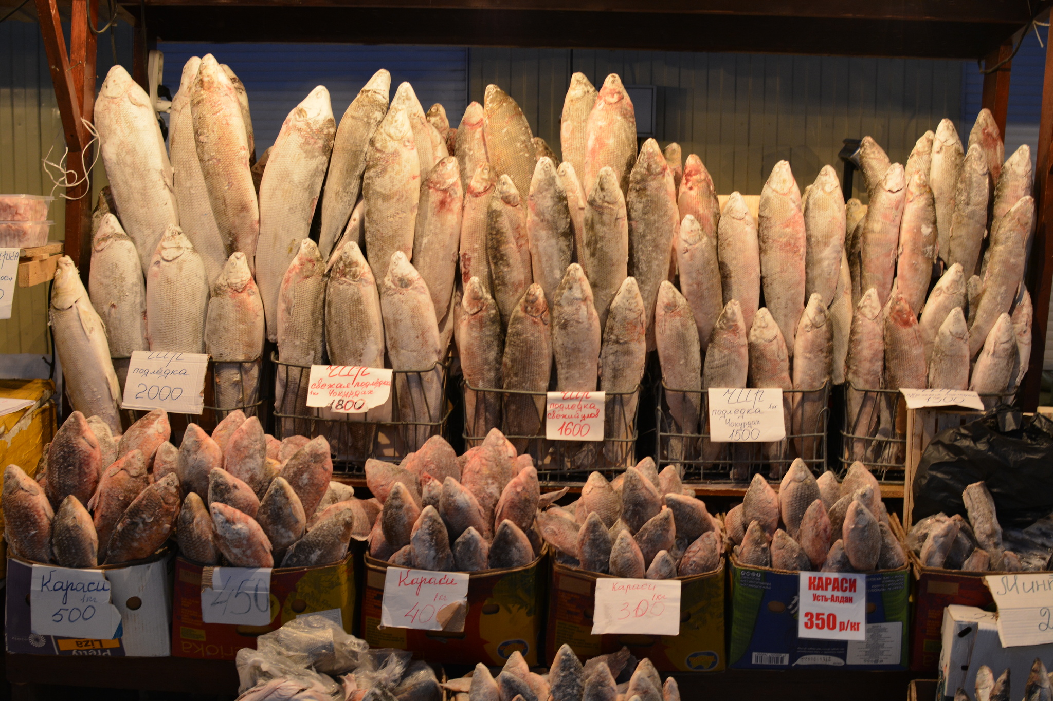 At the coldest market in Russia - My, A fish, Market, Cold, Winter, Winter fishing, Yakutia, Longpost