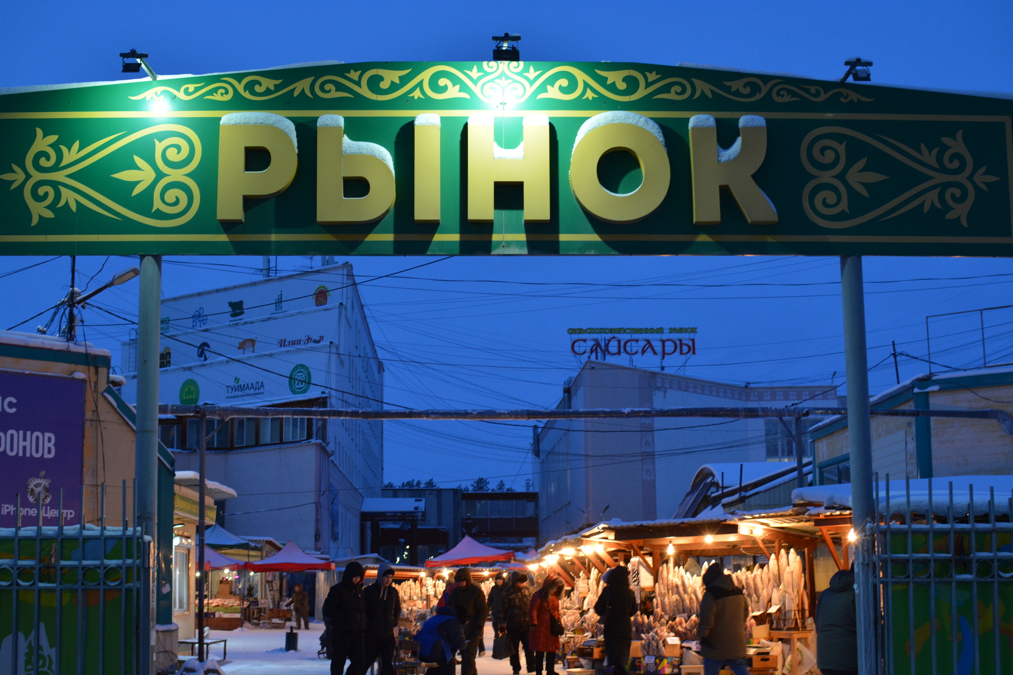 At the coldest market in Russia - My, A fish, Market, Cold, Winter, Winter fishing, Yakutia, Longpost