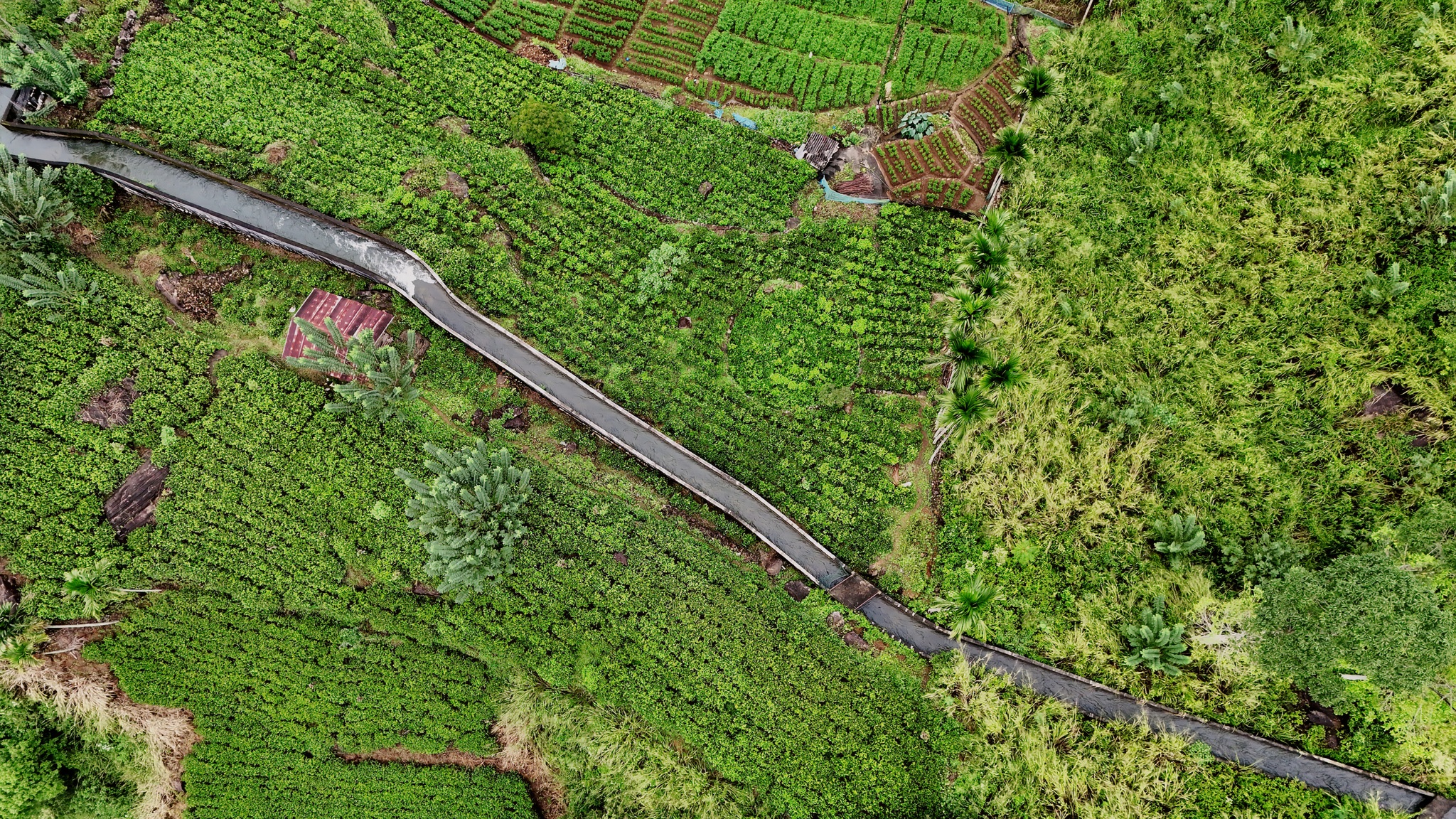 Ramboda Falls Irrigation Canal, Nuwara Eliya District - My, Sri Lanka, Travels, The photo, Dji, Aerial photography, Tea, Waterfall, Watering, Ceylon, Island, Plantation, Quadcopter, The mountains