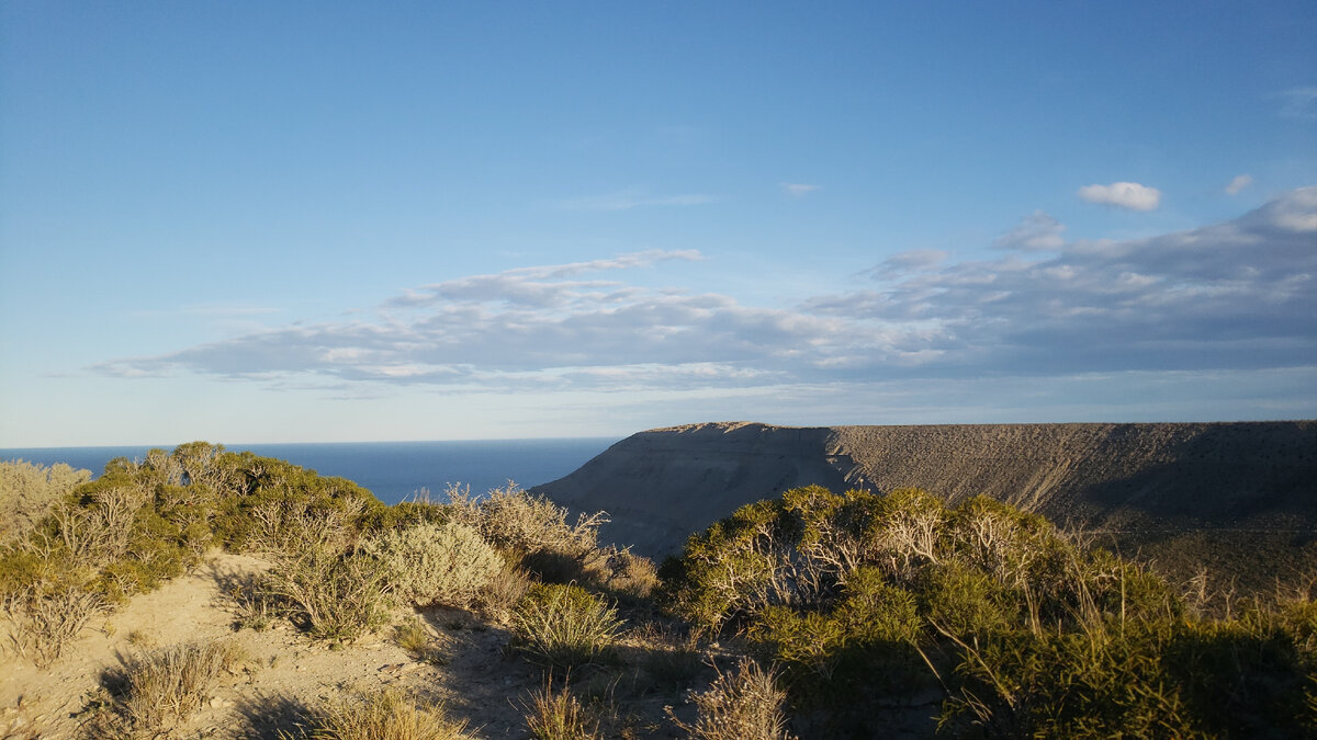 Trip to the observation deck in the town of Rada Tilyi - My, Solo travel, Bike trip, A bike, South America, Argentina, Atlantic Ocean, Bike ride, Cyclist, Cycling, Asado, Meat, Travels, Roasted meat, Longpost