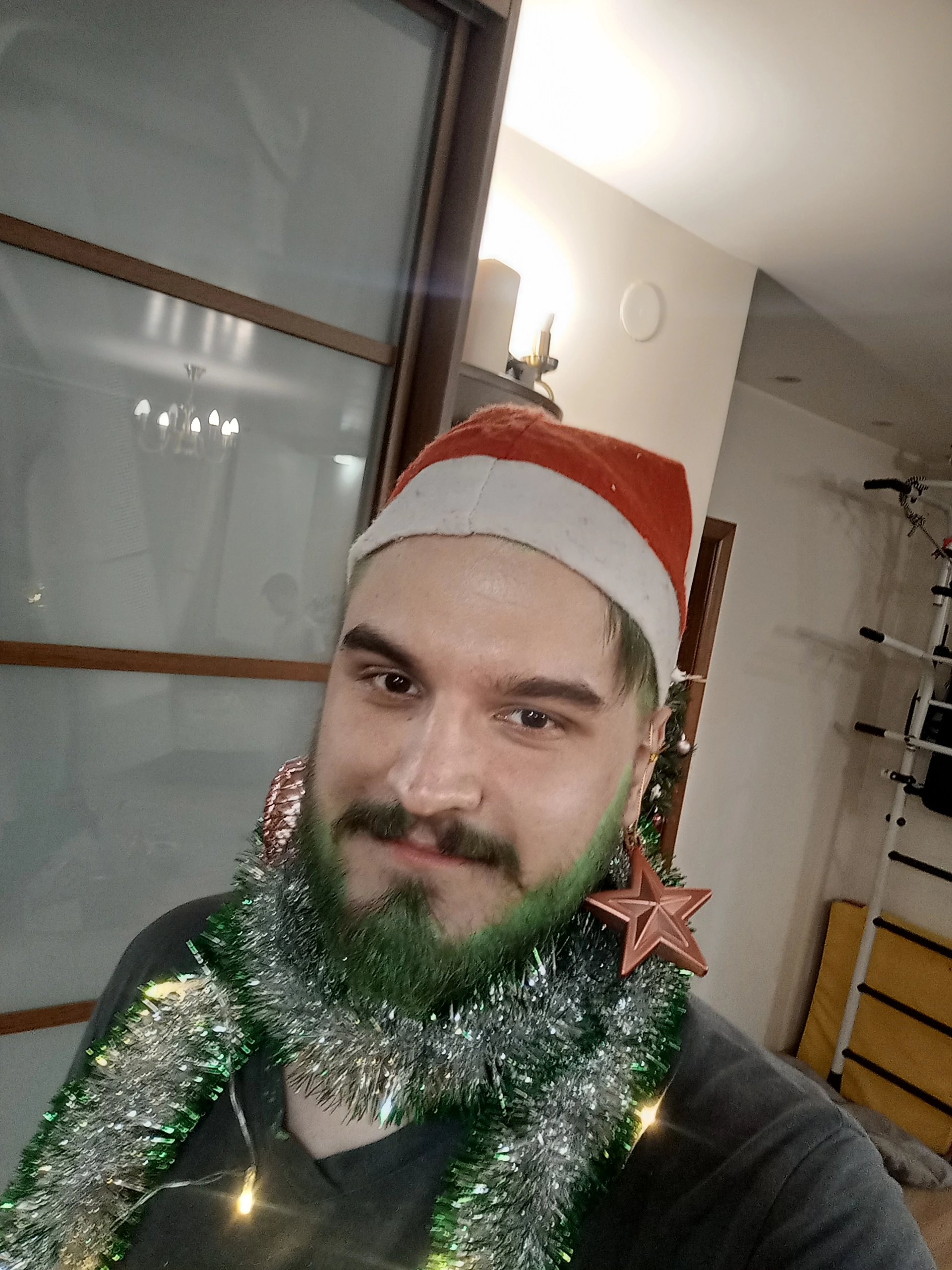 Transformation into a Christmas tree - My, New Year, Christmas tree, Hair dye, Christmas decorations, Mood, Longpost