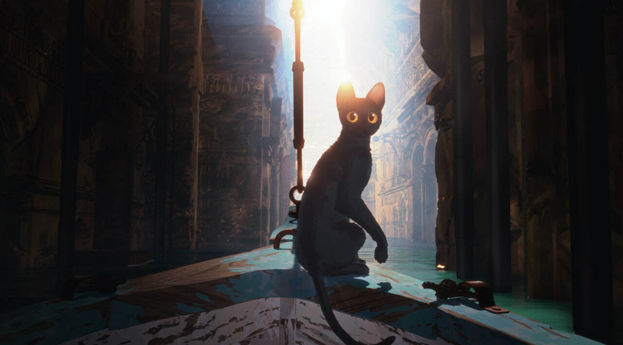 Flow (2024) - a gorgeous animated film in the genre of post-apocalypse - My, Review, Screen adaptation, Overview, Fantasy, Movies, Post apocalypse, I advise you to look, New films, Movie review, Cartoons, Cataclysm, Flood, Film and TV series news, Animals, cat