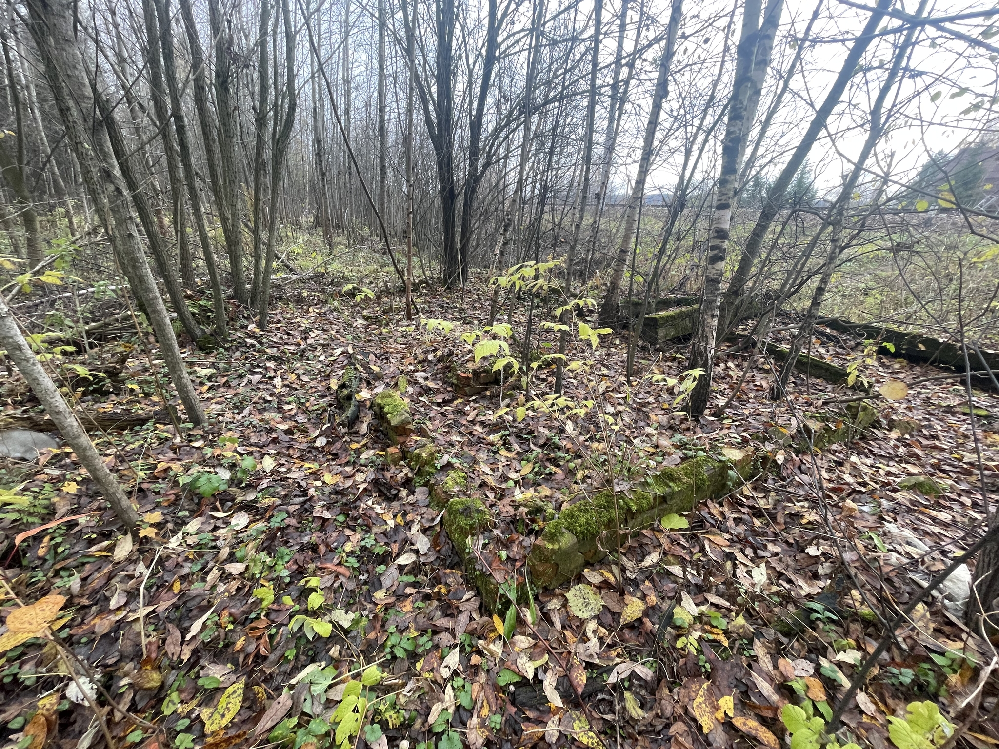 The Stationmaster's Treasure: A Forgotten History - My, Hobby, Enthusiasm, Leisure, Tourism, Treasure hunt, Metal detector, Railway, История России, hidden treasures, Find, Longpost, Forgotten, Lost, Abandoned, Urbanfact