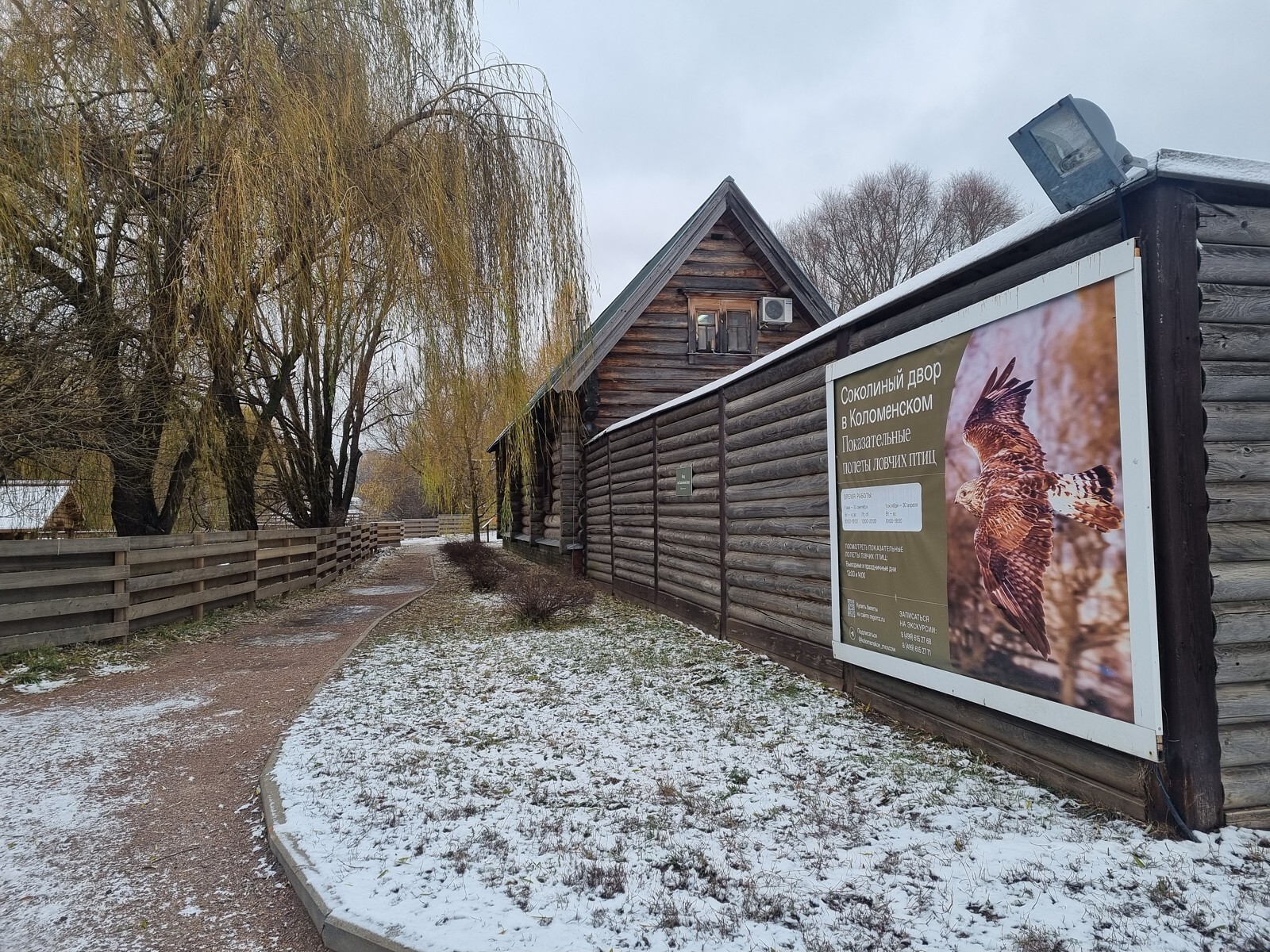 Pictures from photo hunting 98. Sokoliniy Dvor, Kolomenskoye. Part 1 - My, Ornithology League, Birds, Photo hunting, The photo, Ornithology, Falconry, Kolomenskoe, Predator birds, Longpost