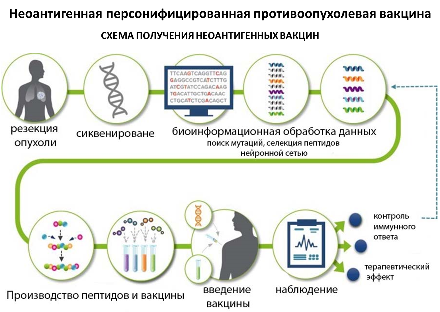 Kllirik.kir's answer to Cancer Vaccine - news, Cancer and oncology, Medications, Vaccine, Reply to post, A wave of posts, Longpost, Blokhin Cancer Center, Tumor, Video, Youtube, Video VK