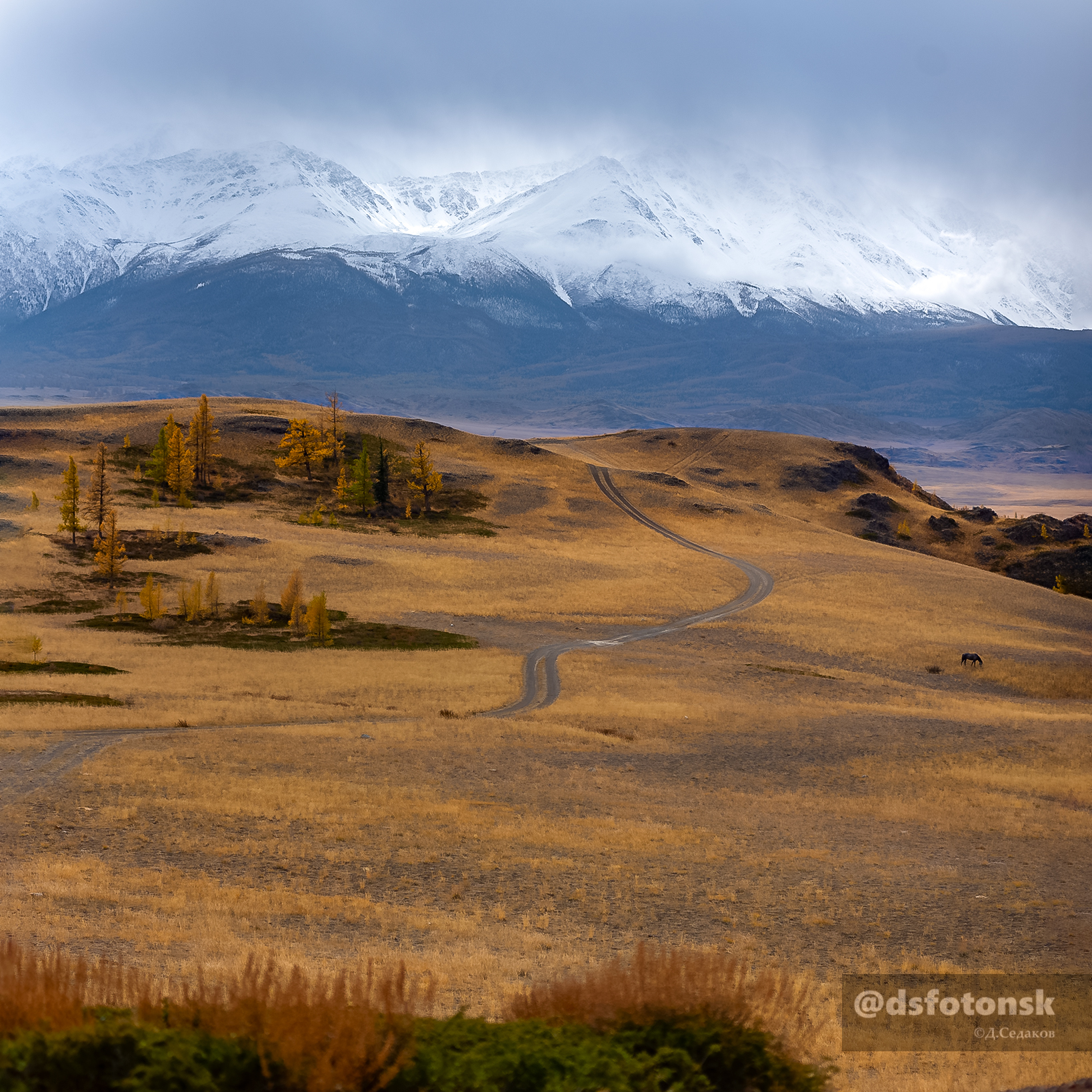 Snow covers the peaks of the North Chuisky Range - My, The mountains, Altai Republic, Tourism, The nature of Russia, Travel across Russia, Severo-Chui Range