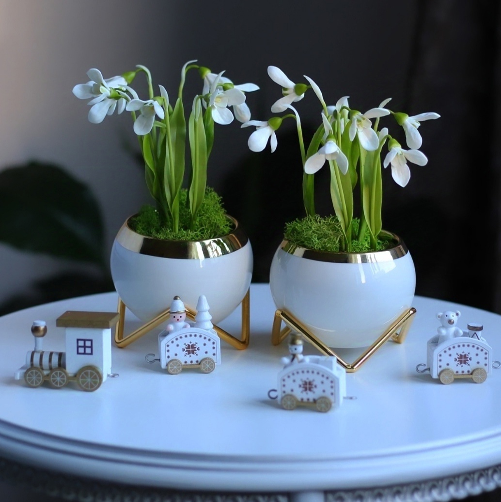 Snowdrops - My, Лепка, Flowers, Polymer clay, Needlework without process, Polymer floristry, Snowdrops flowers, Primroses, New Year, 12 months, Story