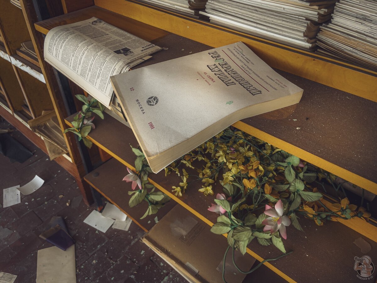 A stunningly textured library in an abandoned factory in Siberia - My, Abandoned, sights, Local history, Travels, The photo, Longpost