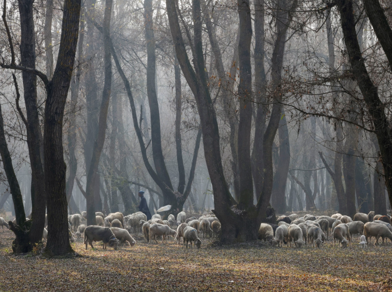 Today on planet Earth - news, The photo, Planet Earth, Around the world, Politics, USA, Africa, Turkey, Breakfast, France, Winter, Snow, Animals, Auto, India, London, Sumo, Military, Telegram (link), Longpost