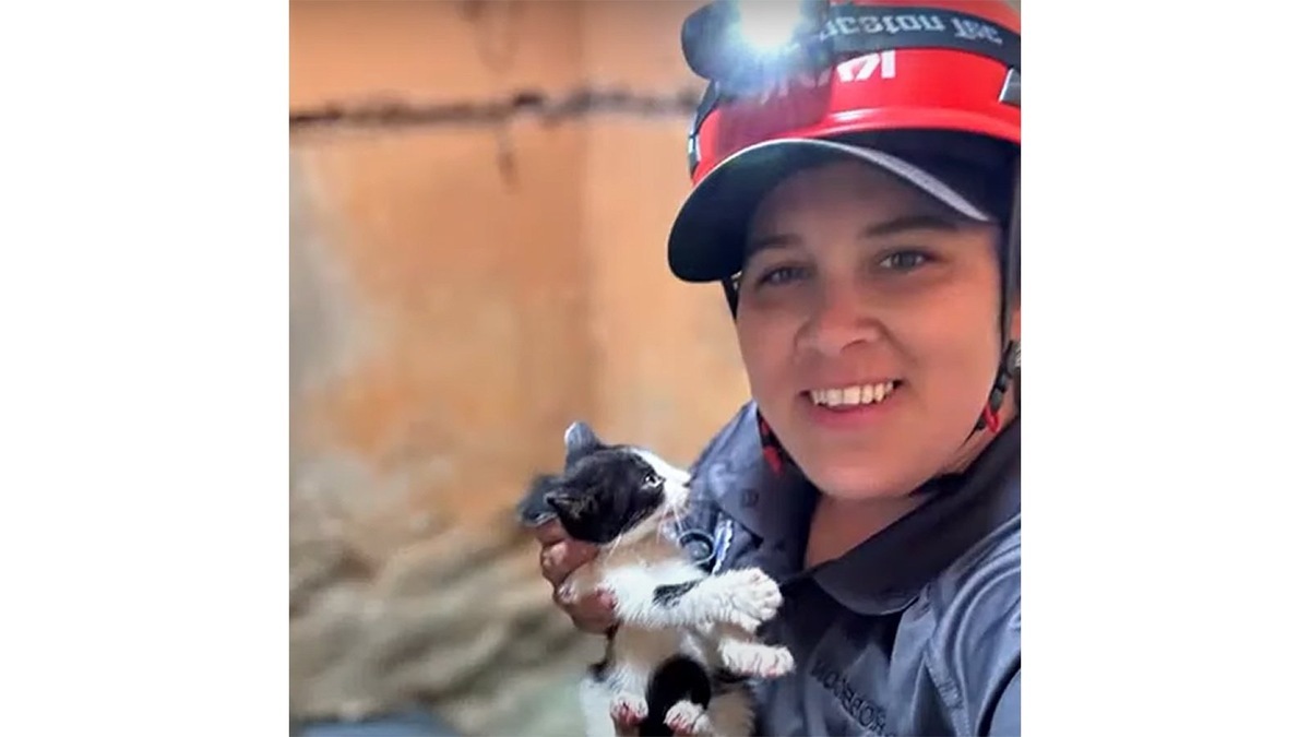 Woman crawls several meters through narrow sewer pipe after kitten - The rescue, Lost, cat