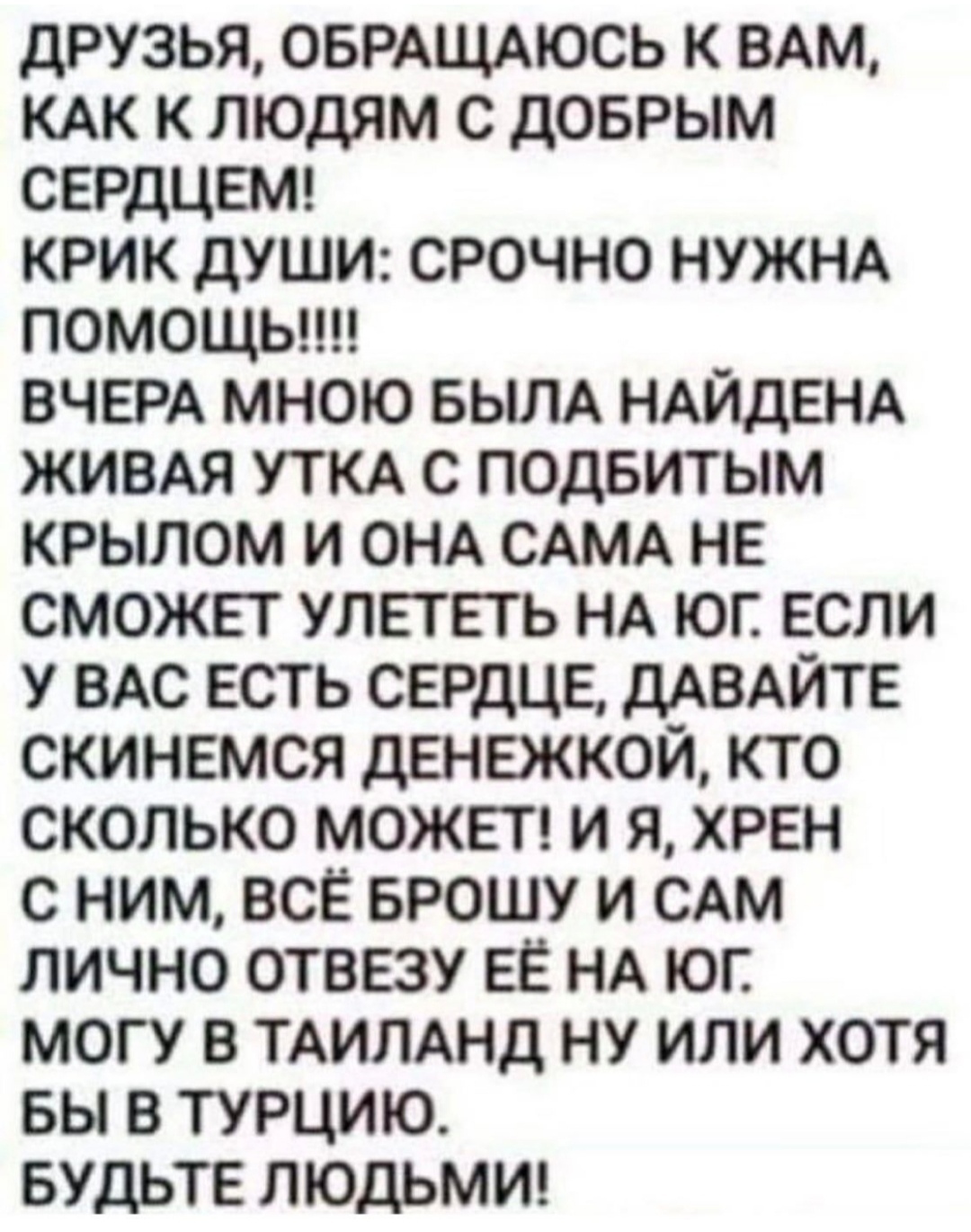 На злобу дня - Юмор, Картинка с текстом, Telegram (ссылка), Зашакалено, Повтор, Утка, Скриншот, Юг