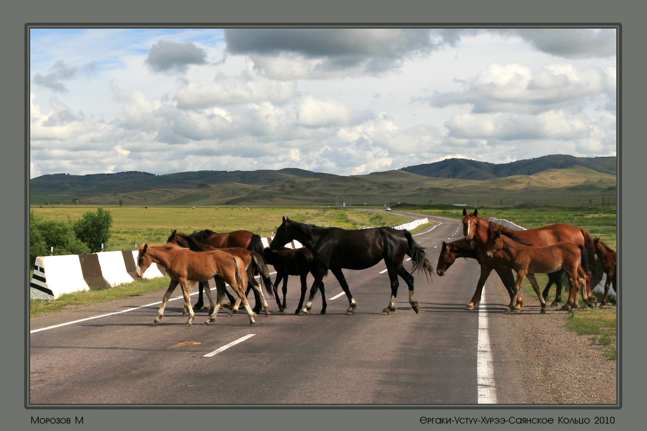 Тува-2010 - Моё, Фотография, Республика Тыва, Сибирь, Природа, Дикая природа, Природа России