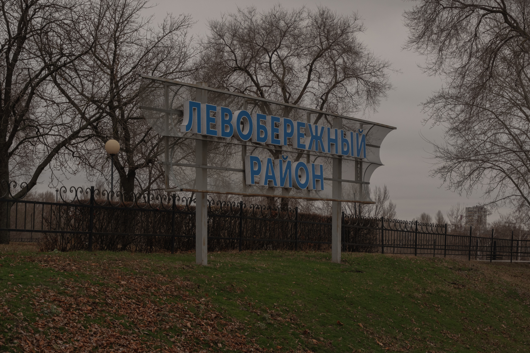 Left Bank District. Scarlet Sails Park - My, Voronezh, Scarlet Sails, The park, Squirrel, Dog, Animals, Pets, Tower, Reservoir, December, Pigeon, Amateur photography, The photo, Longpost