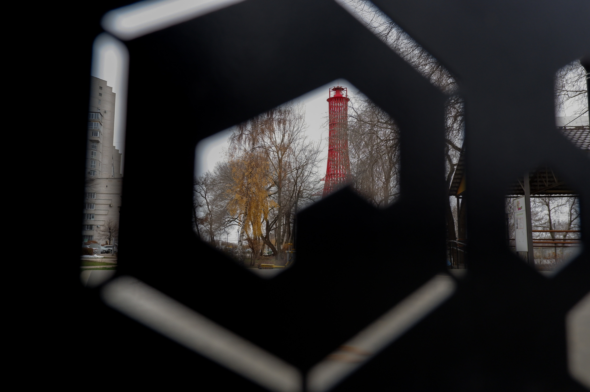 Left Bank District. Scarlet Sails Park - My, Voronezh, Scarlet Sails, The park, Squirrel, Dog, Animals, Pets, Tower, Reservoir, December, Pigeon, Amateur photography, The photo, Longpost