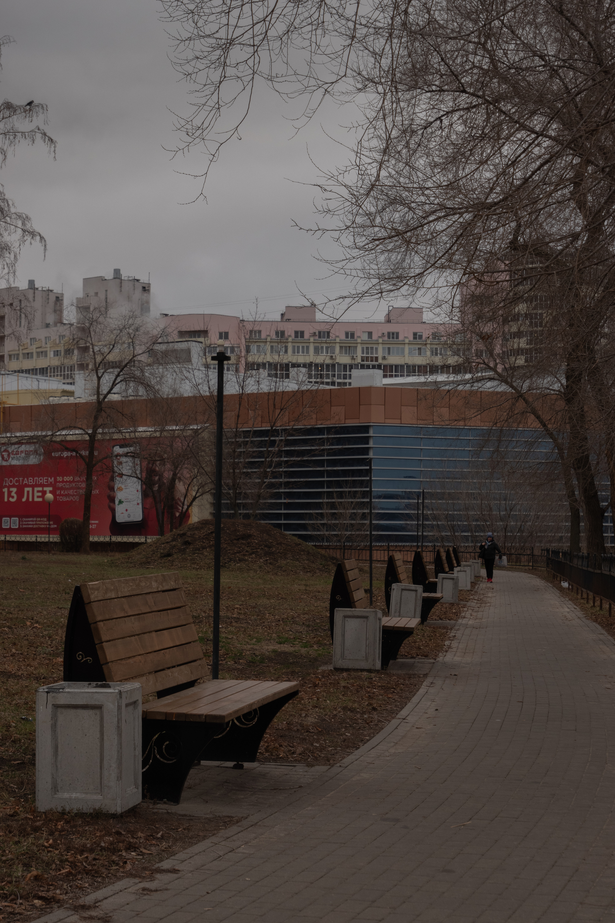 Left Bank District. Scarlet Sails Park - My, Voronezh, Scarlet Sails, The park, Squirrel, Dog, Animals, Pets, Tower, Reservoir, December, Pigeon, Amateur photography, The photo, Longpost