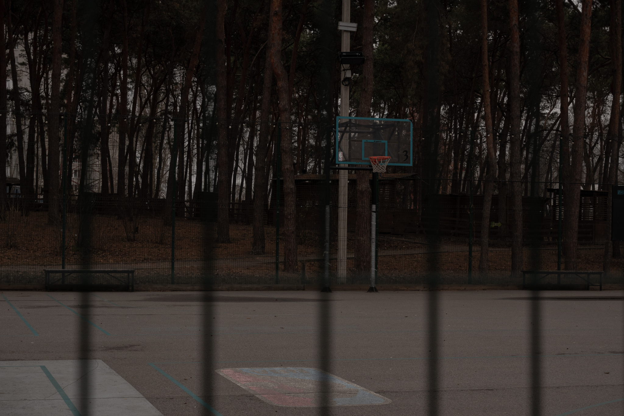 Left Bank District. Scarlet Sails Park - My, Voronezh, Scarlet Sails, The park, Squirrel, Dog, Animals, Pets, Tower, Reservoir, December, Pigeon, Amateur photography, The photo, Longpost