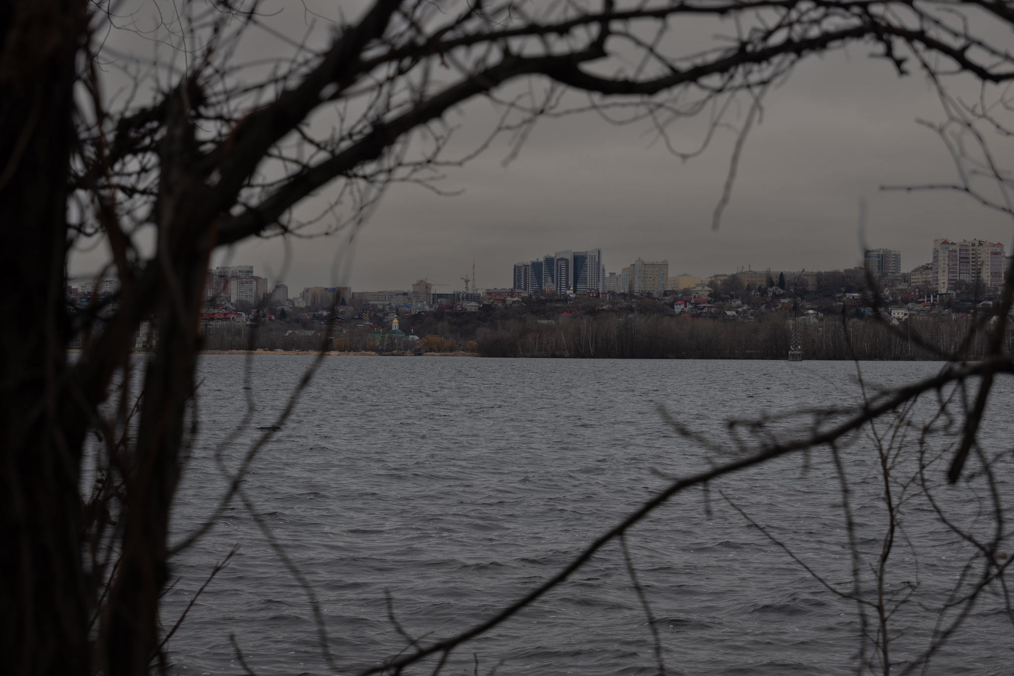 Left Bank District. Scarlet Sails Park - My, Voronezh, Scarlet Sails, The park, Squirrel, Dog, Animals, Pets, Tower, Reservoir, December, Pigeon, Amateur photography, The photo, Longpost