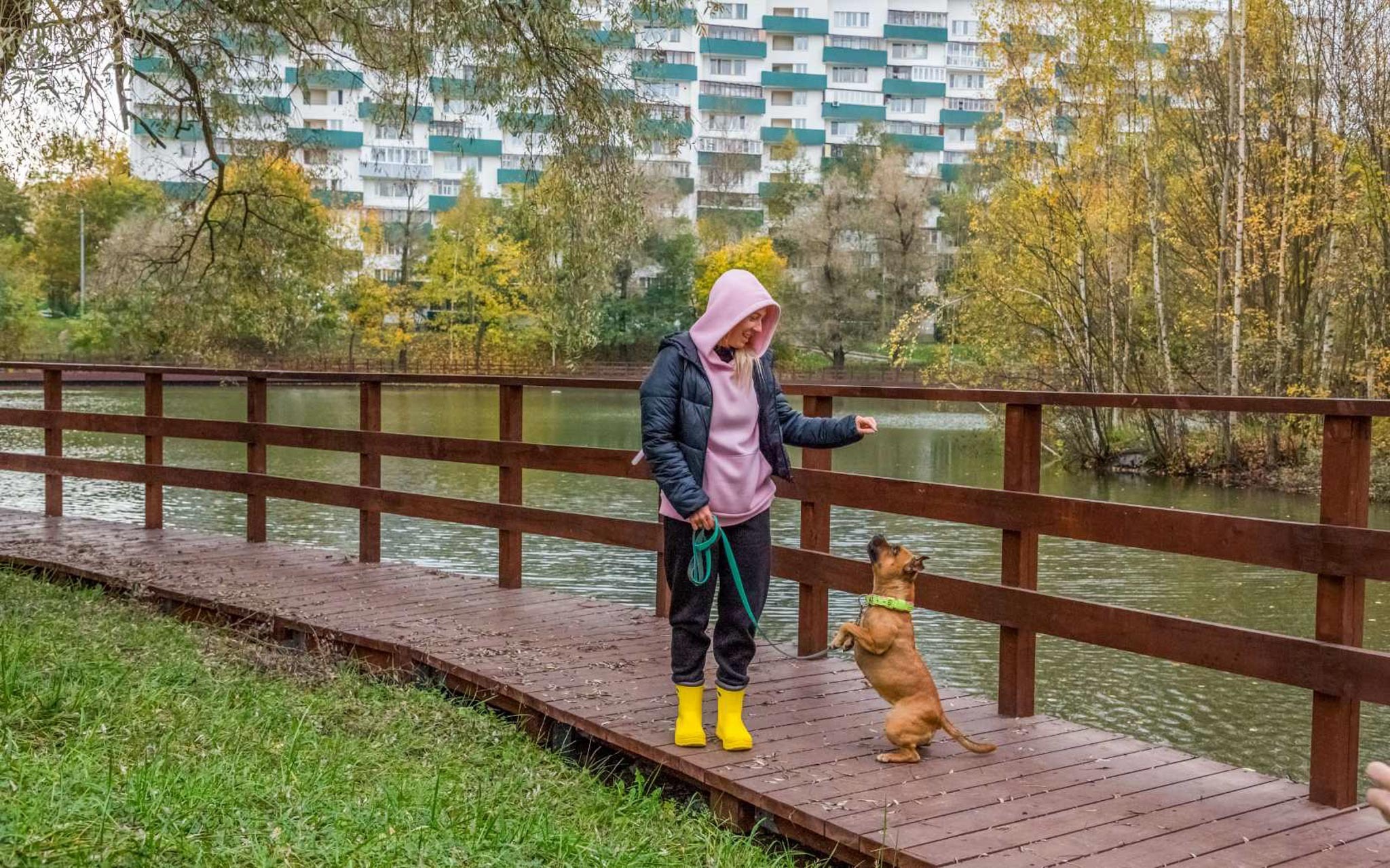 The first reservoir of Zelenograd. Pond Bykovo Boloto in different years (1960-2024) - Zelenograd, Beautification, Lake, Longpost