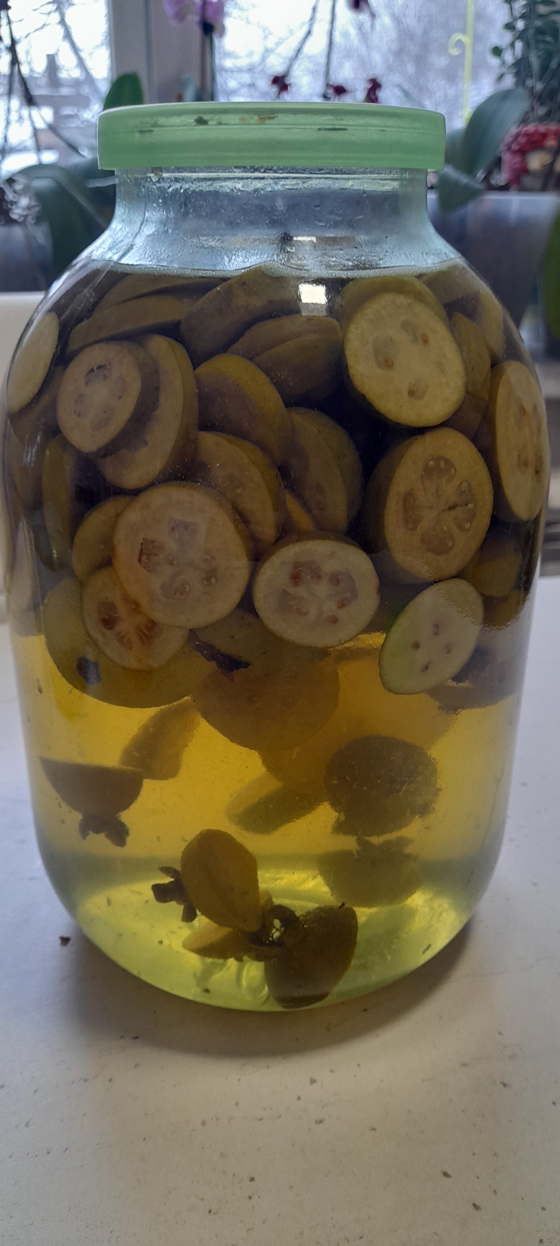 Feijoa, for the New Year - My, Men's cooking, Recipe, Moonshine, Tincture, Longpost