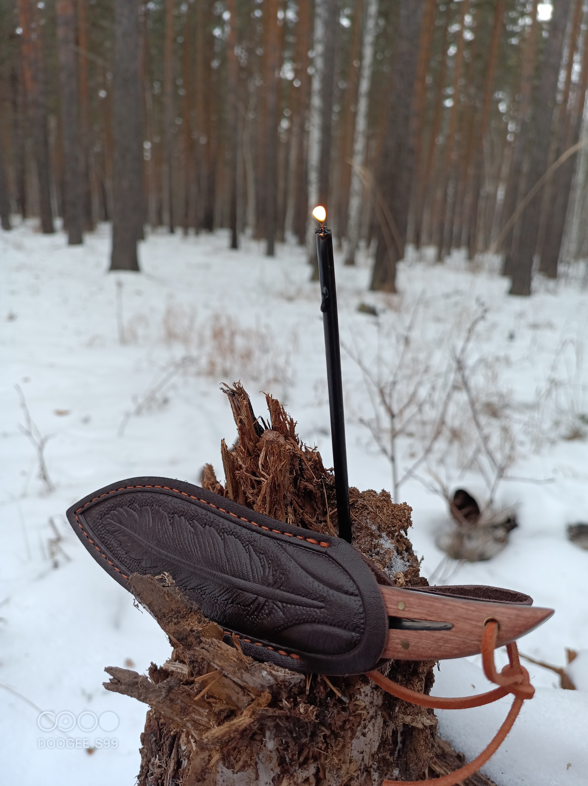 Work in Chernolesye - My, Black magic, Spoilage, Winter, Forest, Longpost