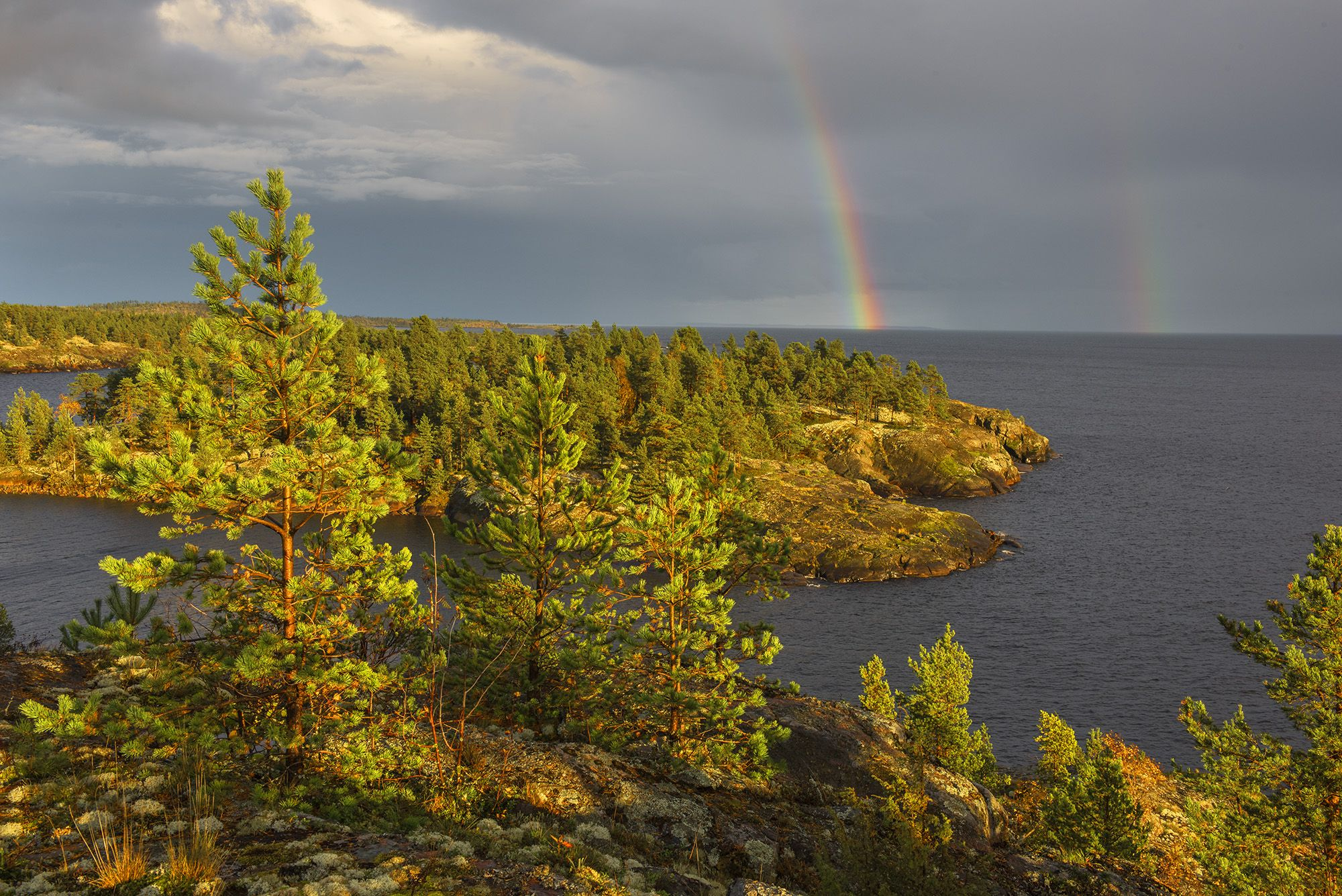 Rainbow - Rainbow, The photo