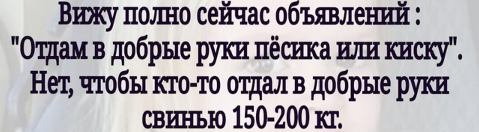 Мне бы тоже не помешала - Юмор, Картинка с текстом, Мемы, Зашакалено, Анекдот