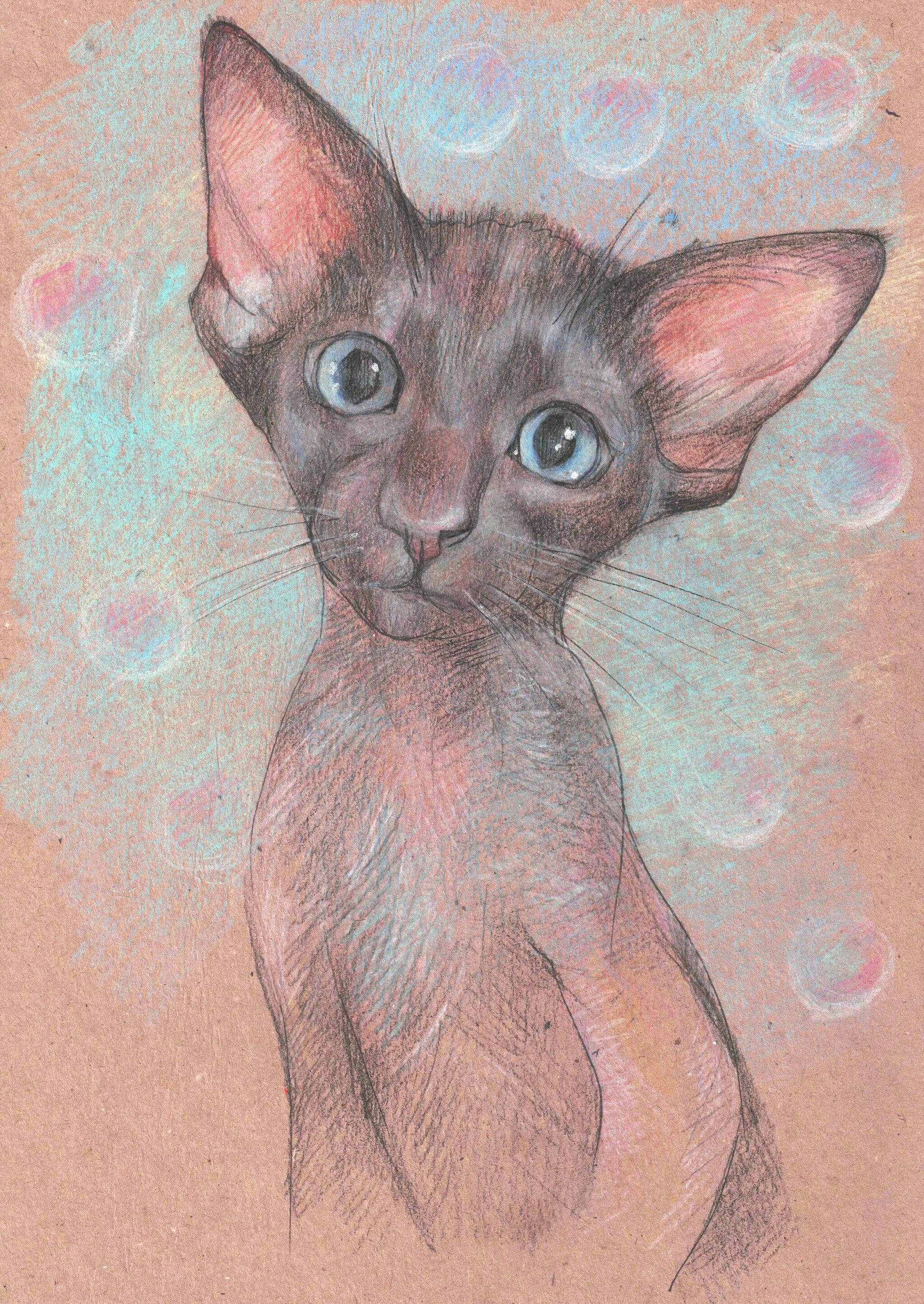 Baby - My, Luboff00, Colour pencils, Graphics, Liner, Traditional art, Oriental cats, cat