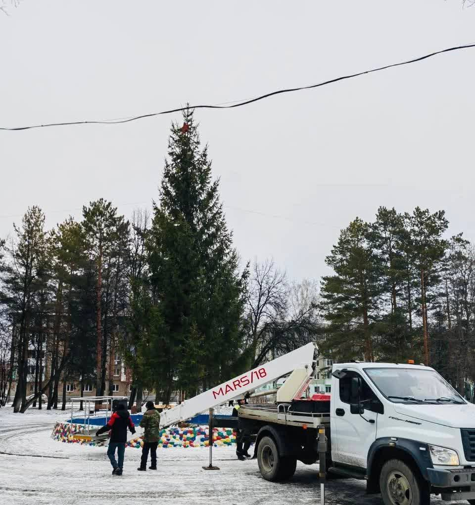 Christmas tree scandal - Christmas trees, Scandal, Ufa, Christmas tree, Sawed off, Negative, Telegram (link), Longpost, Bashkortostan